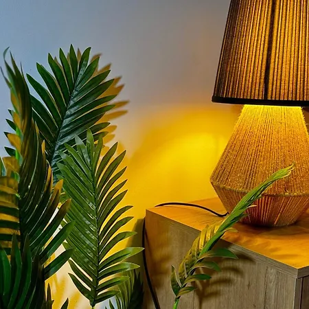 El Olivo Сasa de vacaciones *