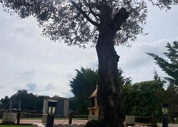 Сasa de vacaciones El Olivo Segovia