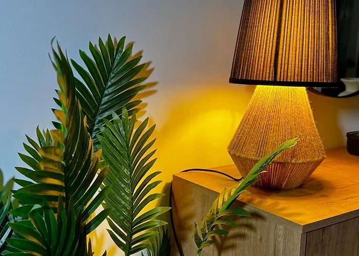 El Olivo Сasa de vacaciones *